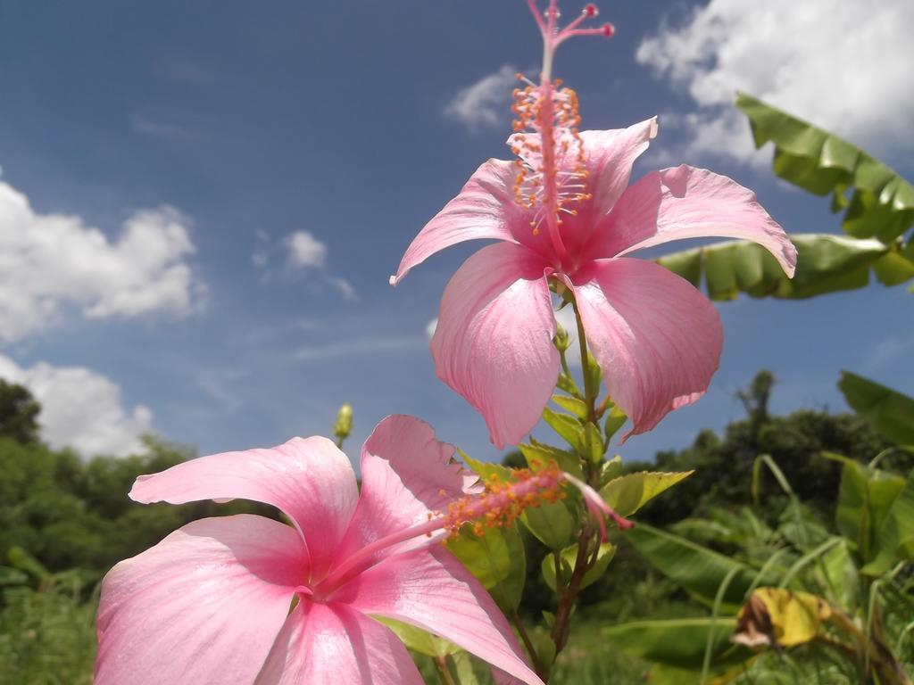 Yoisama Sunrise Beach House Ishigaki  외부 사진